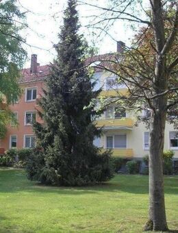 3-Zimmer in der Lange Str.2-Sammelbesichtigung am 18.12 um 14:30 UHR - Osnabrück