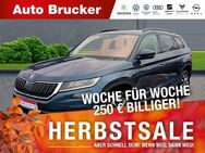 Skoda Kodiaq Drive 125 4x4 2.0 TDI+AHK+Navi+Alufelgen+LED+Sitzheizung - Marktredwitz