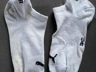 Getragene Socken von mir - Ingolstadt