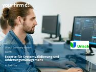 Experte für Systemvalidierung und Änderungsmanagement - Bad Ems