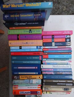 Jugendbücher 42 Bücher zus. 5,- Boie Duden Wie Warum Weshalb - Flensburg