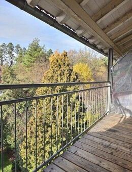 Große 1 Zimmer Wohnung mit Balkon und geräumigen Bad sowie Stellplatz - Rednitzhembach