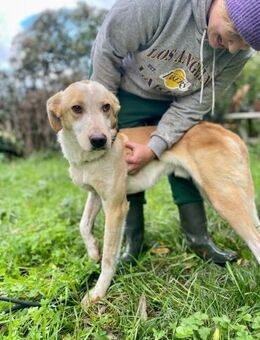 Ikea 💙💙💙ist ein cleveres Kerlchen - Herxheim (Landau)