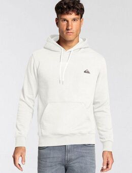 Quiksilver Kapuzensweatshirt BASIC HOODIE YOUNG MEN (1-tlg)
