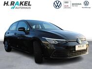 VW Golf, 1.5 TSI VIII Life, Jahr 2024 - Geeste