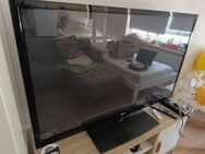 LG 50 Zoll (50PK350) Fernseher zu verkaufen - Hamburg Altona