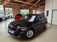 Skoda Kamiq Selection DSG AHK 5JGAR LED SML BHFS SHZ - Ichenhausen