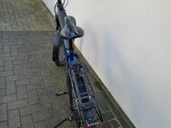 Verkaufe ebike Riese und Müller. VB 1300 Euro - Langwedel (Niedersachsen)