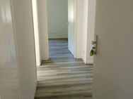 Sehr schöne renovierte 3 Zimmer Wohnung in Duisburg zu vermieten - Duisburg