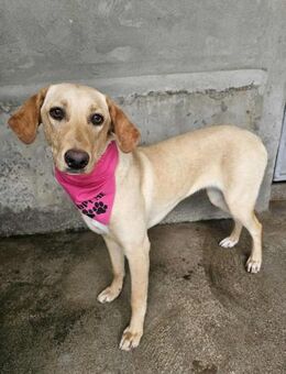 Fröhliche Malou - Eichenzell