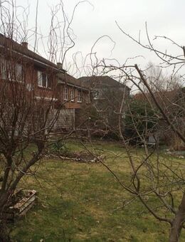 Idyllisch gelegene Häuser zur Kapitalanlage in Potsdam - Potsdam