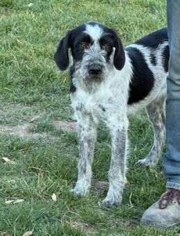 Ich heiße Kaya ... - Frankfurt (Main)