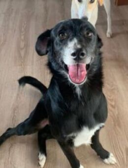 Verliebst du dich in Freddy? - München