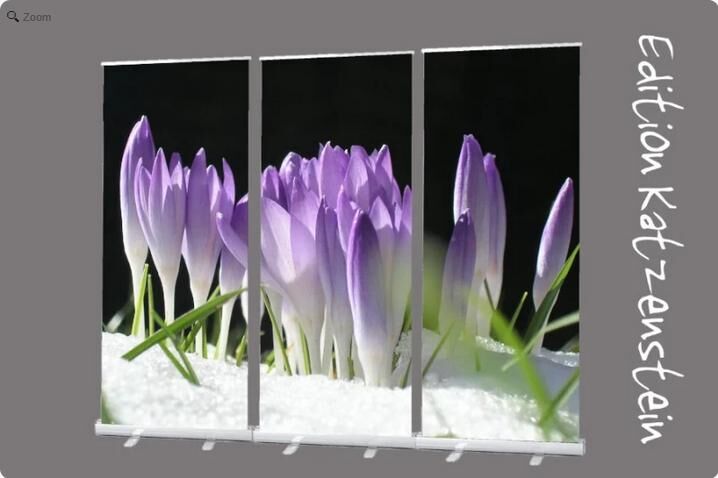 Trauerhallen dekorieren mit einem Roll-Up Display 3er-Set "Lila Krokusse im Schnee“ - Bestatterbedarf, Hallendekoration- Trauerhalle, Beerdigung - Wilhelmshaven Zentrum