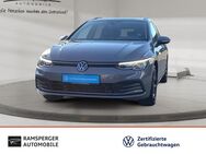 VW Golf Variant, 1.5 TSI Active, Jahr 2023 - Kirchheim (Teck)