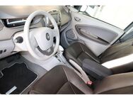 Renault ZOE Intens -BOSE-Navi-Kamera-SHZ- - Bebra