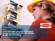 Sales Manager (m/w/d) im Bereich Batterieladetechnik für das Gebiet Baden-Württemberg - Freiburg (Breisgau)