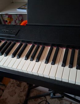 Roland E-Piano F 20 mit Ständer und Hocker - Michendorf
