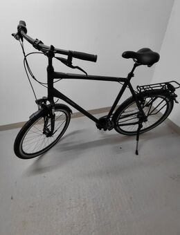 Raleigh Chester 8 XXL Herrenrad - Berlin