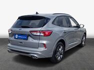 Ford Kuga 2.0 EcoBlue Aut. ST-LINE X - Hildesheim