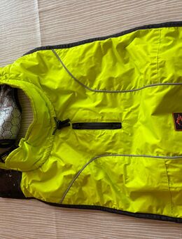 Hundemäntelchen Größe 36 - Seligenstadt