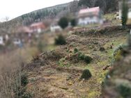 Baugrundstück mit Aussicht sucht neuen Besitzer - Bad Wildbad