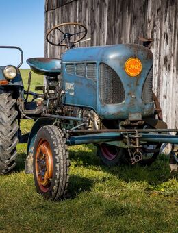 Lanz Bulldog Schlepper 1666 MWM Original Patina Rarität - Erbach (Hessen)