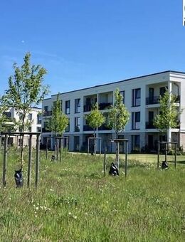 Ruhige 2-Zimmer-Wohnung "Wohnen mit Service" in Schaalseepark in Zarrentin - Zarrentin (Schaalsee)