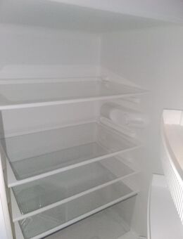 Neff Kühlschrank - Stuttgart