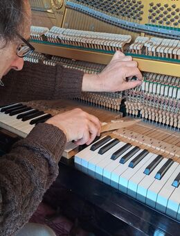 KLAVIERSTIMMER - Wildeshausen