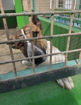 Suki - aus Kindern werden Leute .... - Bochum