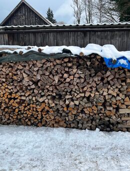 Brennholz Eiche und Esche gespalten 1-Meterstücke - Mainleus