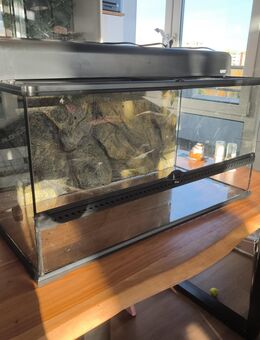 Terrarium Exo Terra 90*45*45 - Berlin