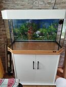 Aquarium mit Unterschrank in 99510