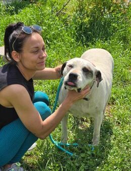 MAX = ruhig freundlich ÄUSSERST sozial♥️ - München
