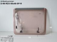 Dethleffs Wohnwagen Fenster ca 58 x 48 V-X/B Polyplastic Roxite P - Schotten Zentrum