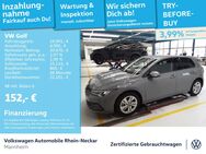 VW Golf, 1.0 VIII eTSI Life Gar 2028, Jahr 2023 - Mannheim