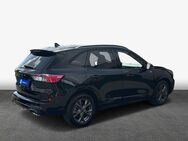 Ford Kuga 2.0 EcoBlue Aut. ST-LINE X - Magdeburg