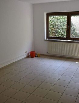 1-Zimmer Souterrainwohnung in Mainz-Hechtsheim - Mainz
