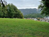 Füssen im Königswinkel: Eine außergewöhnliche und einmalige Rarität in bester, naturnaher und großzügiger Zentrumsrandlage zu verkaufen. - Füssen