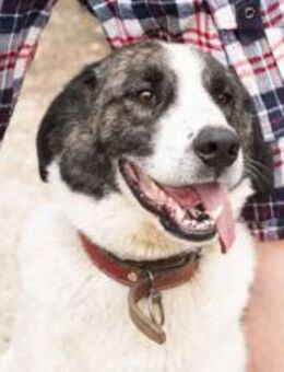 verschmuste CHARLINE - München