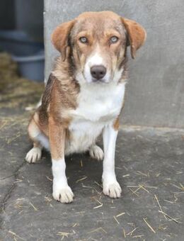 Ruby, ein tolles Mädchen - Köln