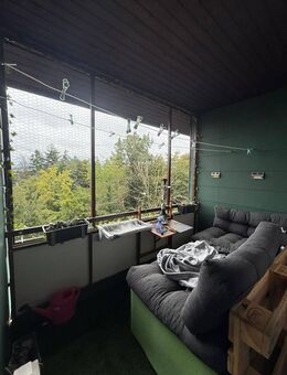 Ihr neues Zuhause in Eisenberg – ruhig und doch zentral - Eisenberg (Pfalz)