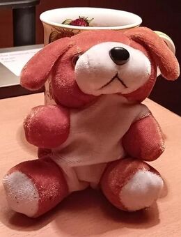 Plüschtiere Bären 6 Stück - Wuppertal