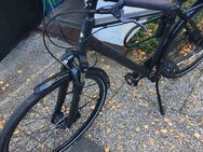Fahrrad Pegasus Opero SL 50 Anniversary - Hamburg Wandsbek