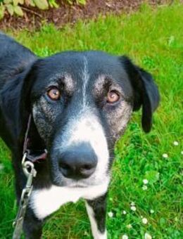 Padmé sucht ihre Traumfamilie - München