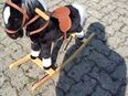 Kinder Pferdeschaukel mit Ton in 77749