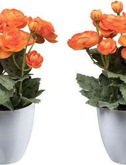 Kunstblume Ranunkel Mohn, Creativ green, Höhe 20 cm