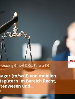 Asset Manager (m/w/d) von mobilen Wirtschaftsgütern im Bereich Recht, Beauftragtenwesen und Forderungsmanagement - Schweinfurt