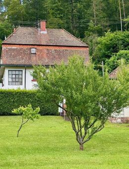 Ihr neues Zuhause wartet schon auf Sie! - Walldürn